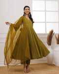 Baisa Olive Green Schiffili Anarkali Suit